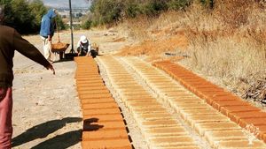 Eco-Homestead, Retreat & Adobe houses: land and garden projects in a prestine rural setting.