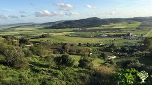 Homestead. Smallholding, Fruit tree Orchard