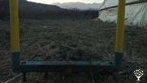 Farm