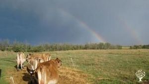 Ranch/ Livestock Farm, Family farm