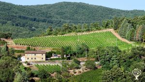 Azienda Vinicola Artigianale - Ospitalità