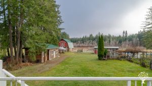 Backyard, barn, and berry processing facility.