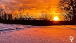 New-to-me homestead with airbnbs