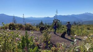 Jardin maraîcher biologique