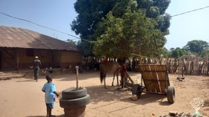 Verger fruitier, maraîchage et éco-construction