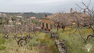 Piccola azienda familiare alle pendici dell'Etna