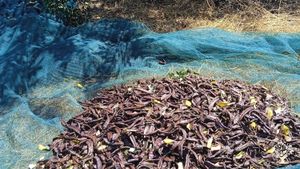 Organic farm in Eastern Crete