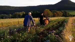 Mit Pferden leben und arbeiten im Tourismusbereich, Land- und Forstwirtschaft, Freizeit