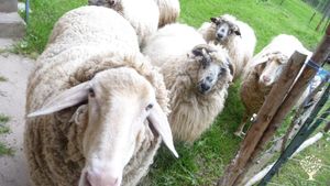 Permakultur- und Lebenshof