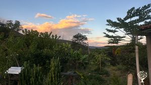 Agroforesty organic small farm in the beautiful Jequitinhonha Valley