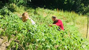 Die ehemalige Mühle am rauschenden Bach: Ein spiritueller Ort und eine Oase zum Auftanken!