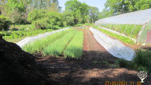 Ferme en Maraîchage Biologique sur Sols Vivants