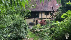 Jardin permaculture, herbes aromatiques, médicinales, verger fruitier, jardin et verger partagé,