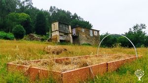 Flower Garden Farm, Orchard, Farm, Family farm