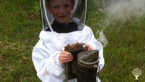 Association pour la Nature et les abeilles