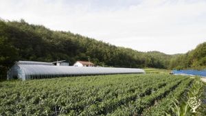 "Help Wanted" <GB109>한국의 시골문화를 느낄수 있습니다/You can experience the rural culture of Korea.