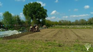 Maraîchage bio en agroforesterie
