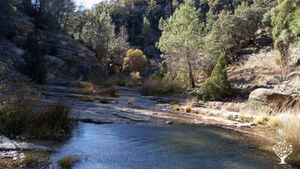 Proyecto de Repoblación Rural y vida en Comunidad