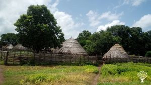 Habitation chez les Bassaris