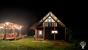 Eco-homestead for reuse, nature, gardening, machinery, and inventions.