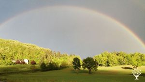 Azienda agricola biologica negli Appennini parmensi