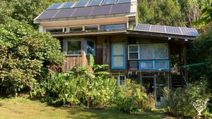 Medicinal Herbs, Permaculture, IntentionalCommunity, Solar Design, Fruits, Aquaculture, and more