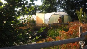 Micro-ferme maraîchère et fruitière en bio-intensif et permaculture