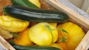 Natural horse breeding, organic vegetable growing and small-scale forestry.