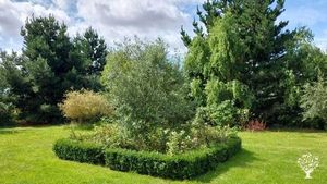 New woodland with organic fruit veg and flower growing areas