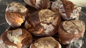 Lazy Farm è un Hub Agricolo che si occua di agricoltura, arte e creatività.