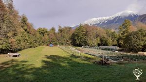 Organic regenerative family farm at the foot of the Alps