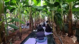 <JN138>친환경 과수 교육농장 / Eco-friendly Fruit Farming Education Center