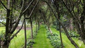 Family home and garden - rural, farm