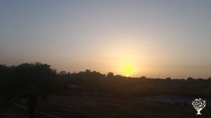 Azienda Apistica e Agricola, Bed & breakfast turismo esperenziale