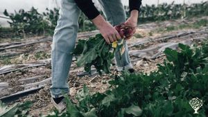Un retour à la terre tout en s'enracinant à l'intérieur de nous