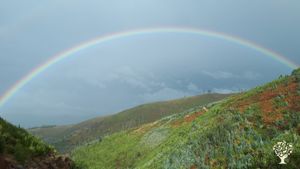 Educational Centre for Integrative Medicine, Eco Retreat, Organic Farm
