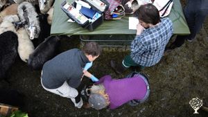 Smallholding, Family farm, Homestead, Agritourism Destination, Eco Lodge/Wilderness Adventures,
