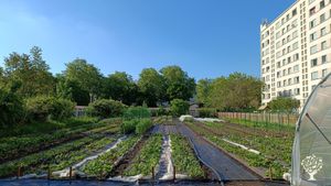 La microferme des Etats-Unis (Lyon)