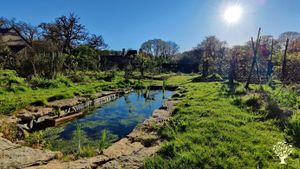 les jardins en 2022
