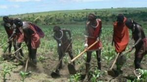 To engage in organic and mentor/Educate community on farm and General Community &Environment