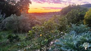 Lefkada Permaculture Farm