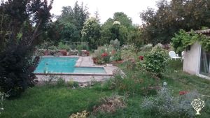 Jardin de plantes sauvages + qlqs fleurs comestibles + qlqs condimentaires et médicinales