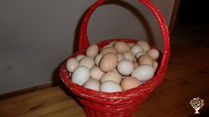 Family farm, Community farm.