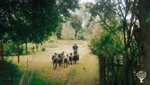 Landwirtschaftlicher Kleinbetrieb, Selbstversorgergarten, Tierhaltung vom Aussterben bedrohter Rasse