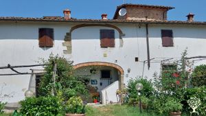Olive oil and vegetables in the heart of Tuscany!