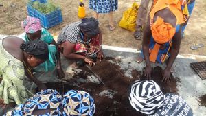 Agritourism Destination, Intentional Community, Eco Lodge/Wilderness Adventures, Eco Retreat