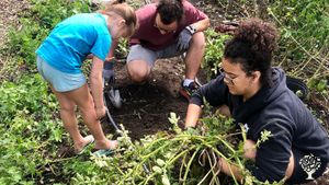 Diversified homestead and agritoursim farm near Albany