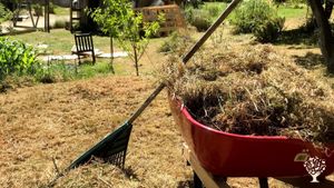 Beautiful Farmette  in a Valley on Salt Spring Island