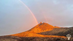 Rainbow