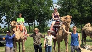 Camel farm (!) 🐪 in central Texas near Waco